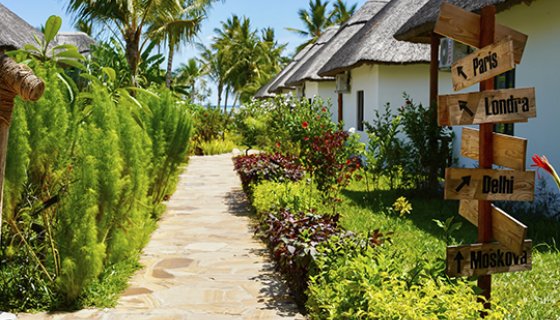 Private Tours