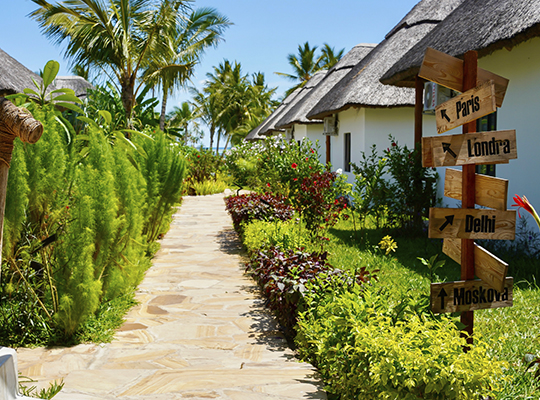 Private Tours