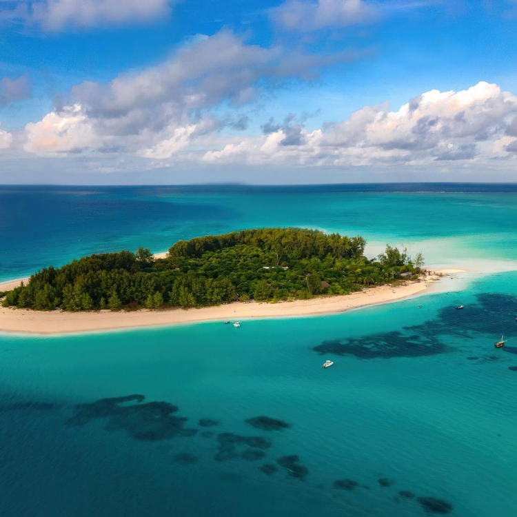Mnemba Island