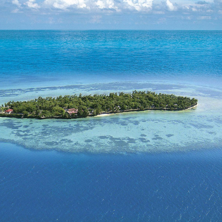 Prison Island